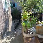 Dinko لوبينيس